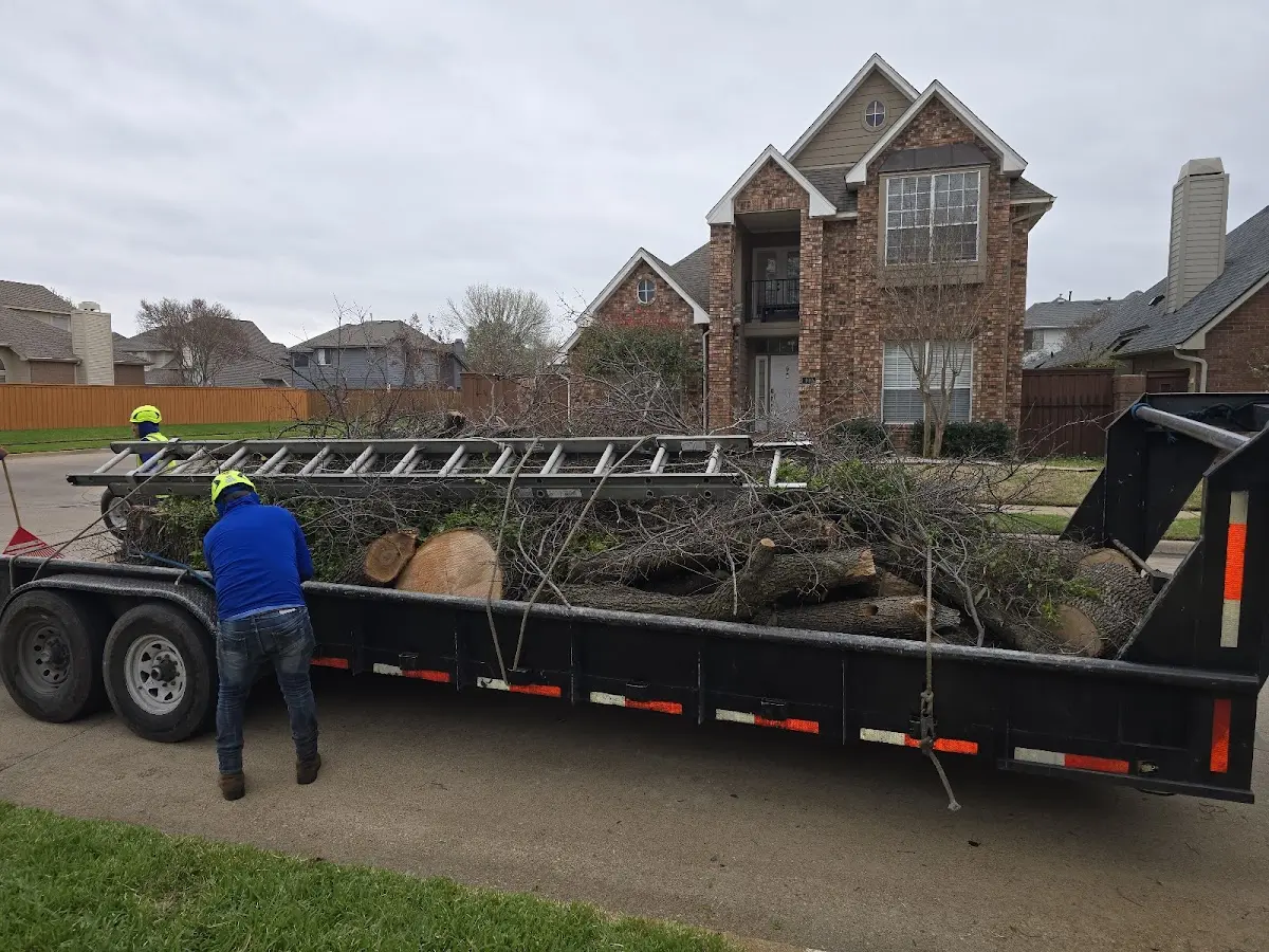 Expert Tree Removal with proper safety equipment in Columbus Junction